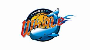 nba直播免费高清直播c114直播_nba直播免费高清直播c114在线直播_免费观看nba直播免费高清直播c114直播